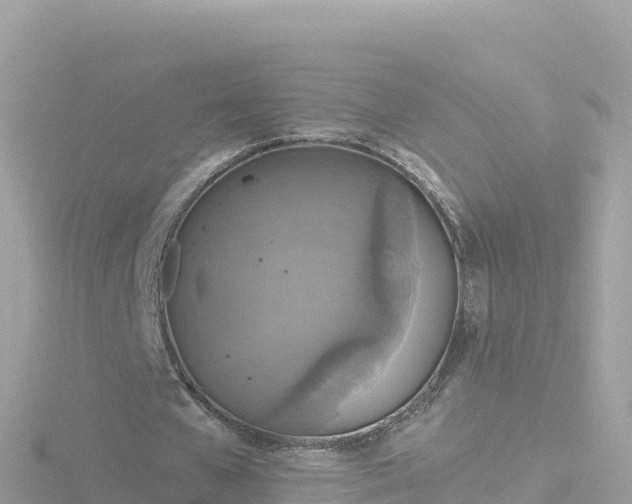 X0000116790577200912241204