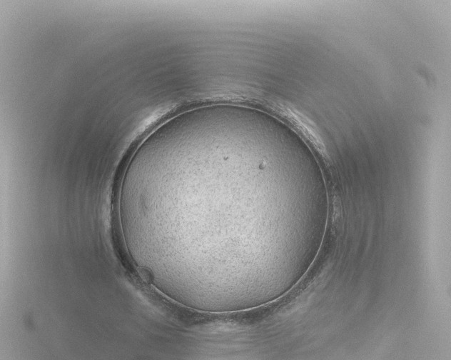 X0000116790578200912241204