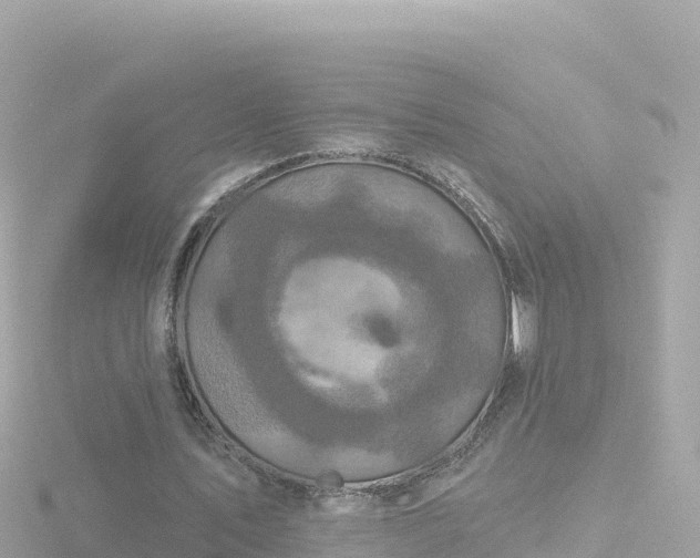 X0000116790579200912241204