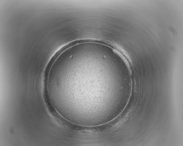 X0000116790580200912241204