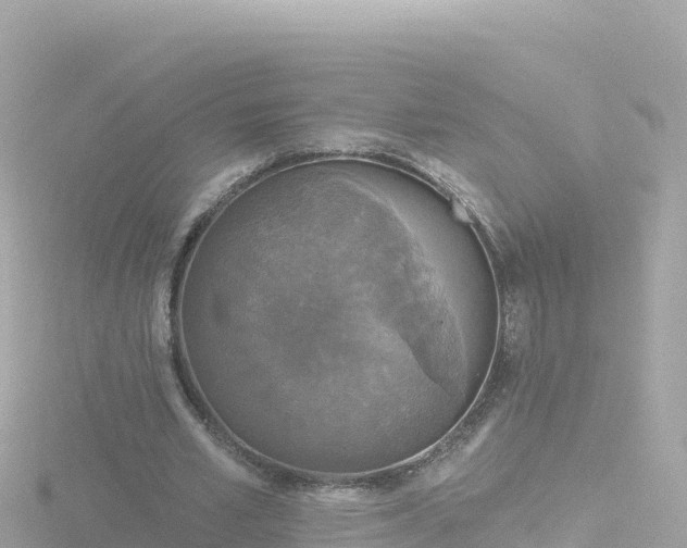 X0000116790581200912241204