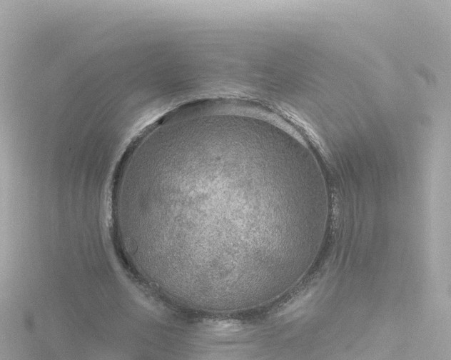 X0000116790582200912241204