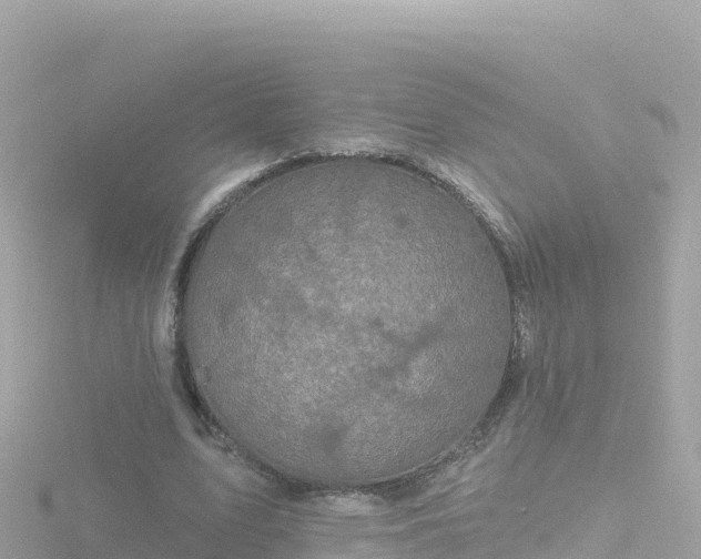 X0000116790583200912241204