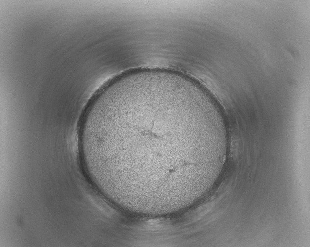 X0000116790584200912241203