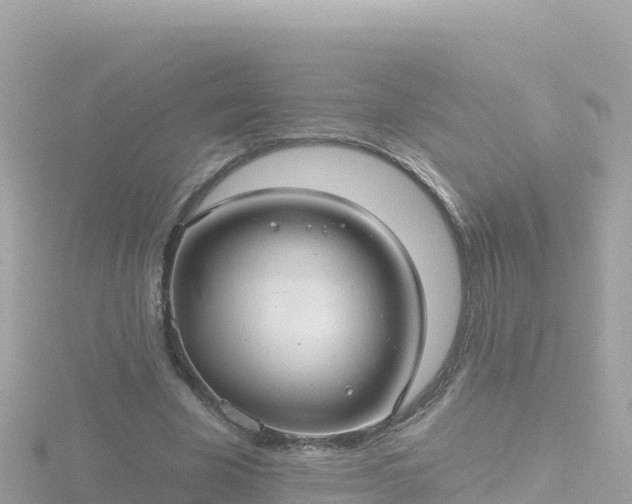 X0000116790585200912241203