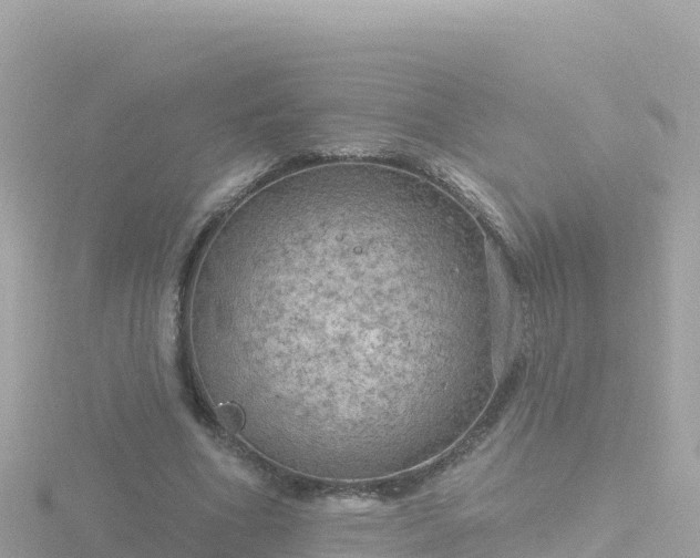 X0000116790586200912241203