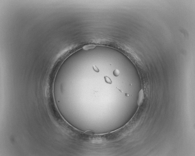 X0000116790587200912241203