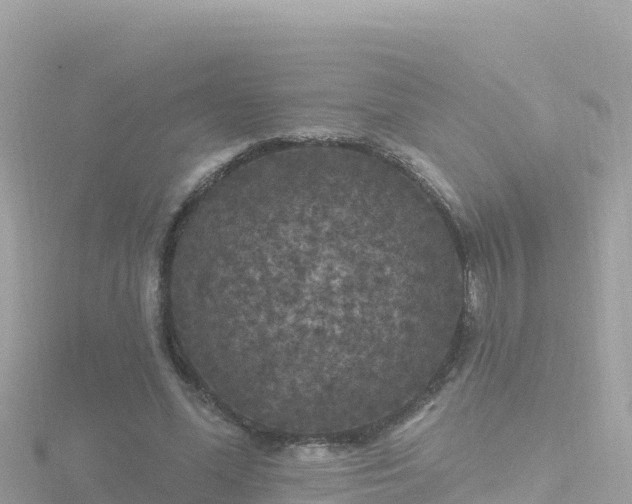 X0000116790588200912241203