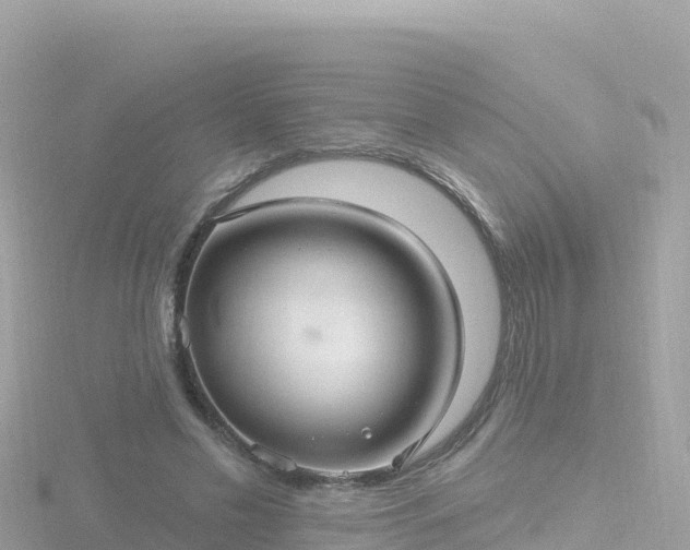 X0000116790589200912241203