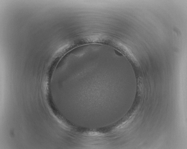 X0000116790590200912241203