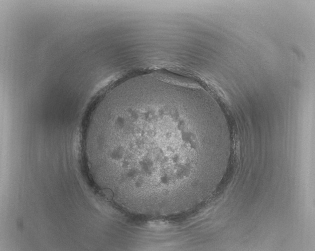 X0000116790591200912241203