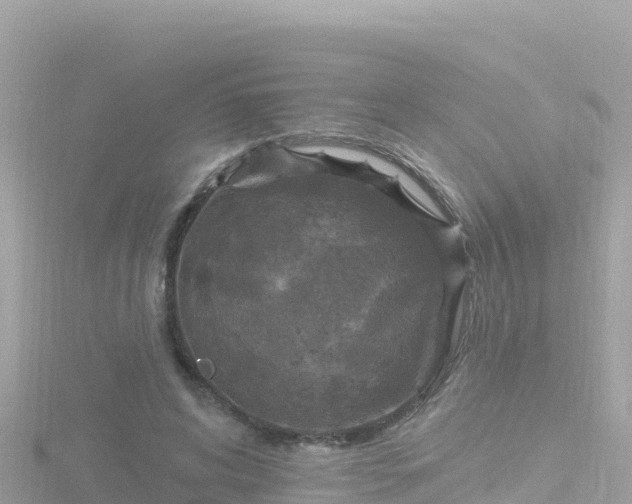 X0000116790592200912241203