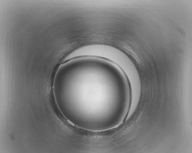 X0000116790593200912241203