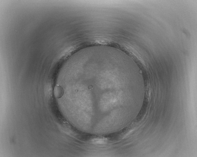 X0000116790595200912241203