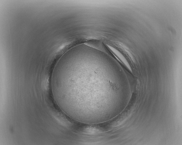 X0000116790596200912241203