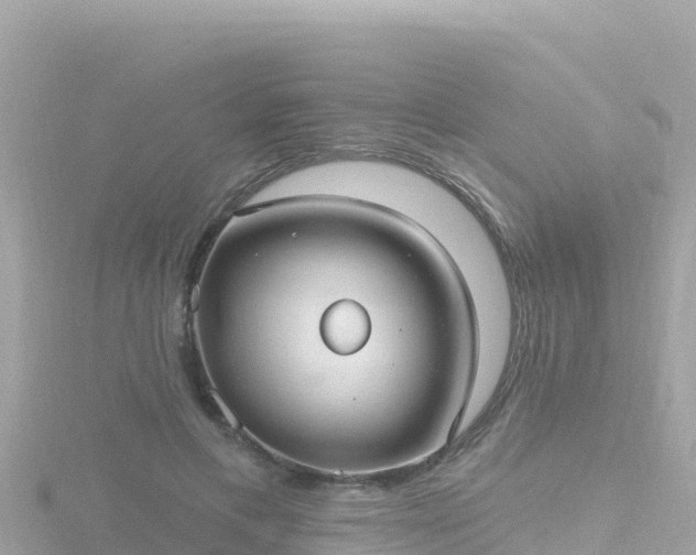 X0000116790597200912241203