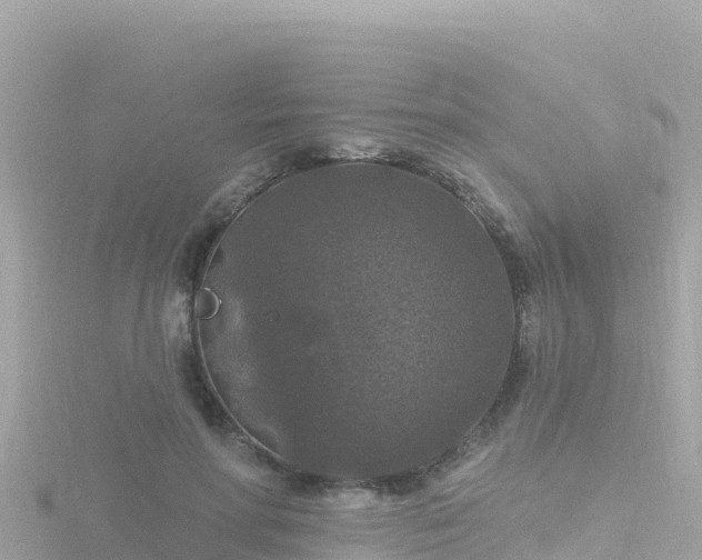 X0000116790598200912241203