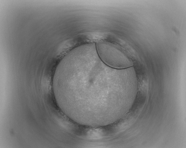 X0000116790599200912241203