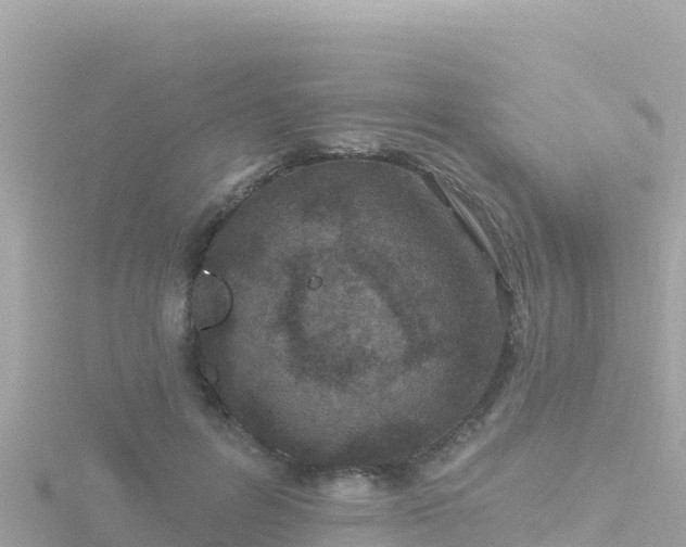 X0000116790600200912241203