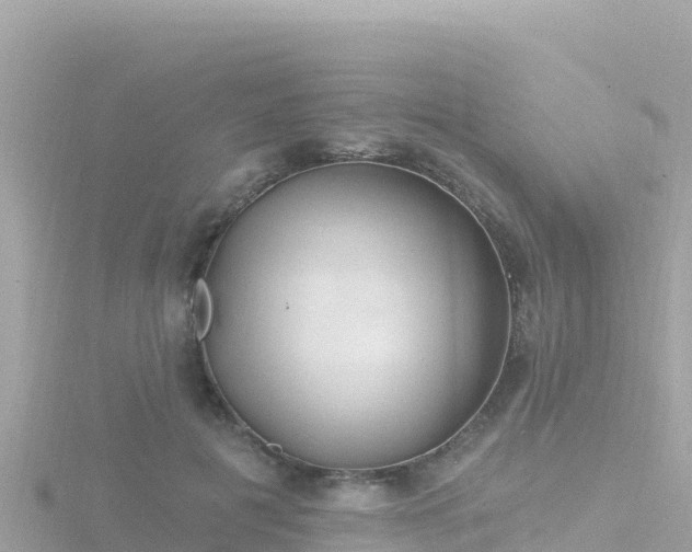 X0000116790601200912241203