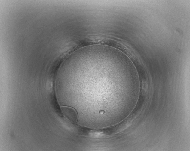 X0000116790602200912241203