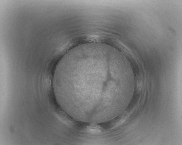 X0000116790603200912241203