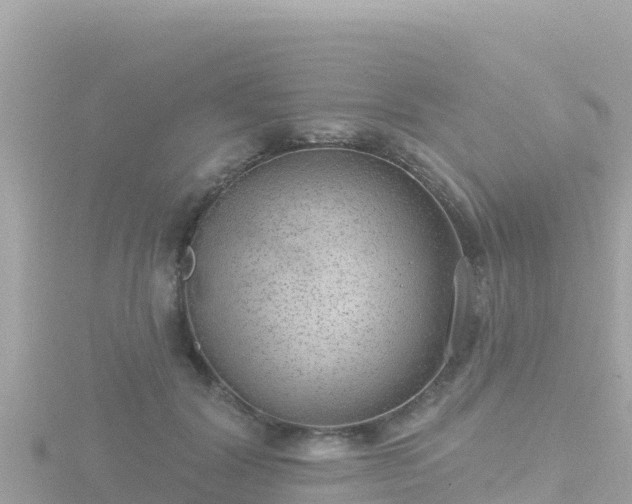 X0000116790604200912241203