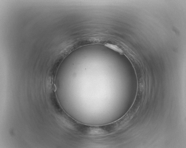 X0000116790605200912241203