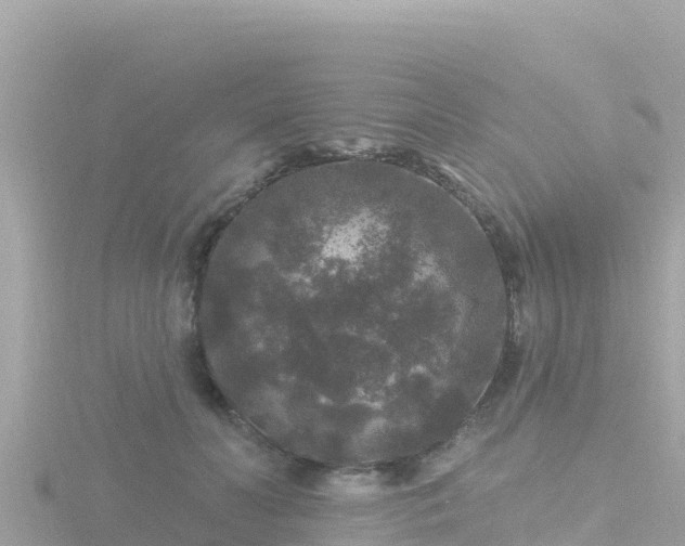 X0000116790606200912241203