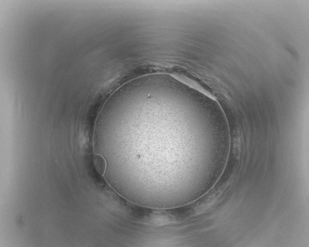 X0000116790608200912241203