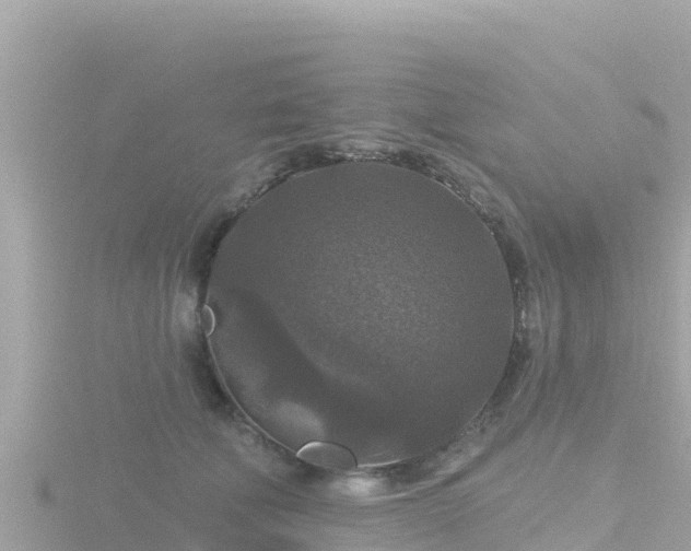 X0000116790610200912241203