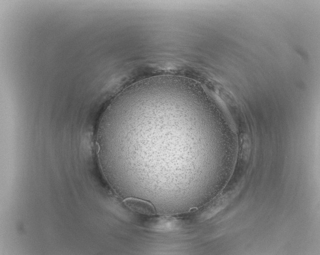 X0000116790612200912241203