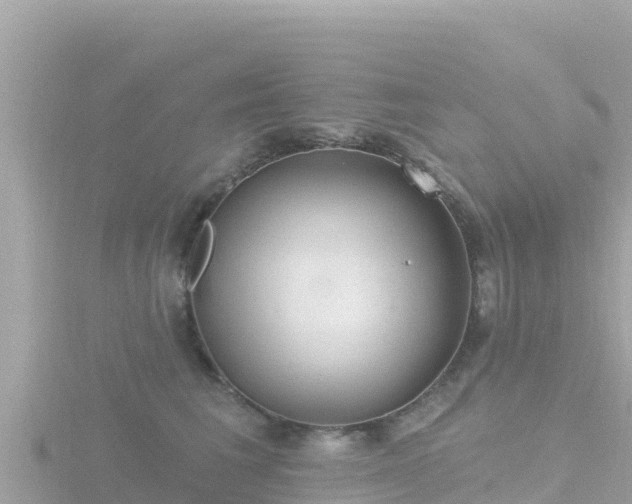 X0000116790613200912241203