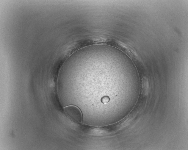 X0000116790614200912241203