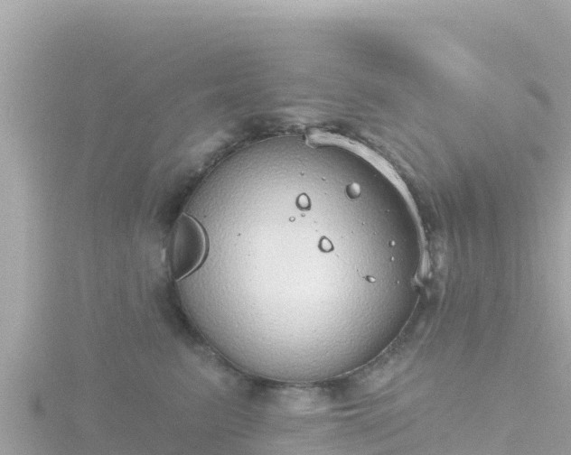 X0000116790615200912241203