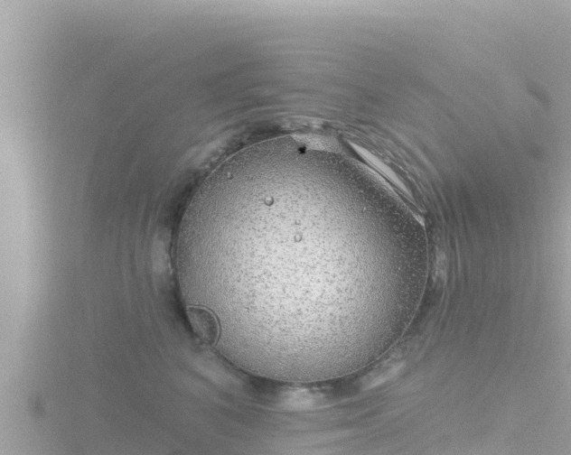 X0000116790616200912241203