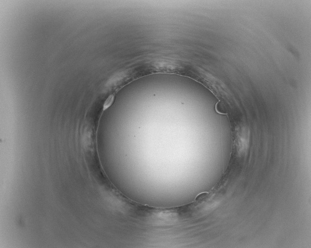 X0000116790619200912241203