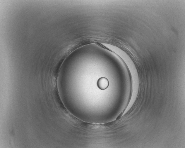 X0000116790621200912241203