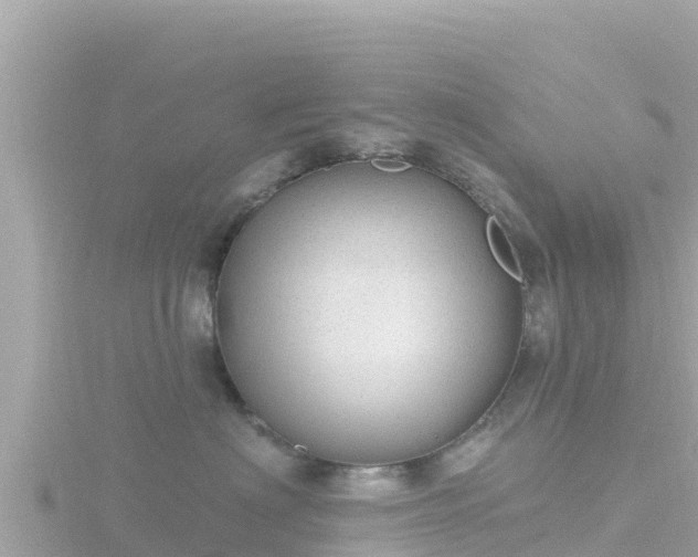 X0000116790622200912241203