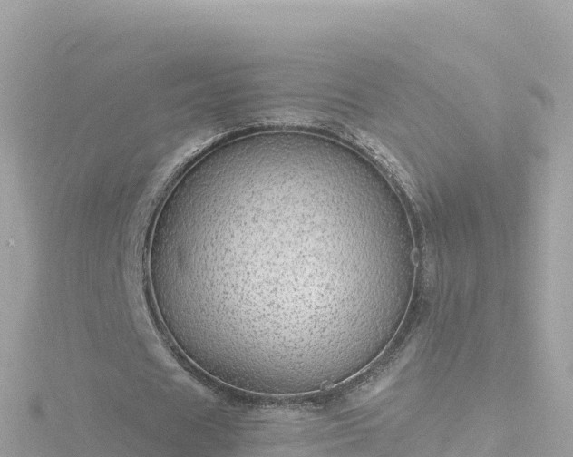 X0000116790625200912241202