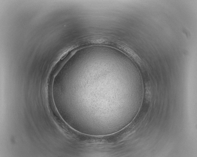 X0000116790626200912241202