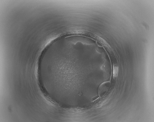 X0000116790627200912241202