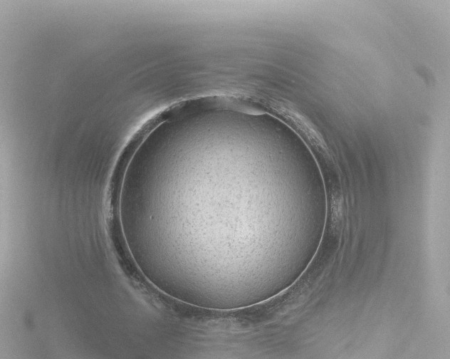 X0000116790628200912241202