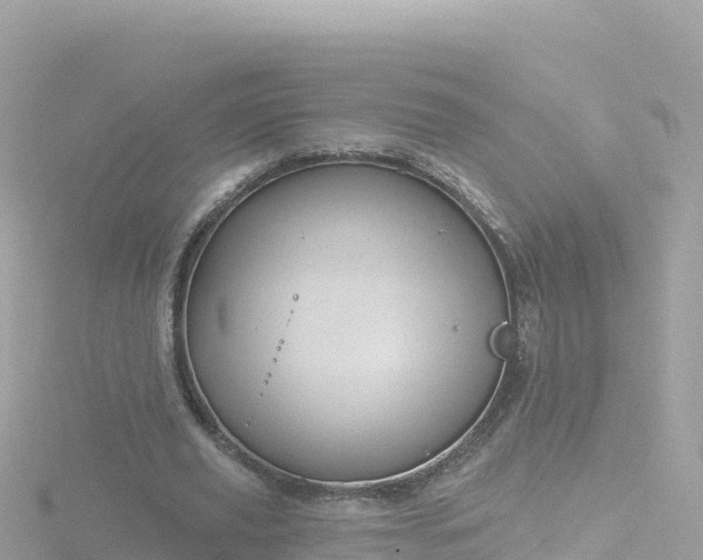 X0000116790629200912241202