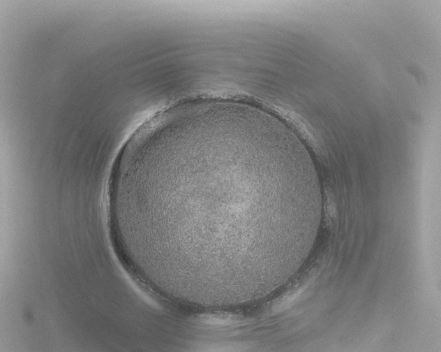 X0000116790630200912241202