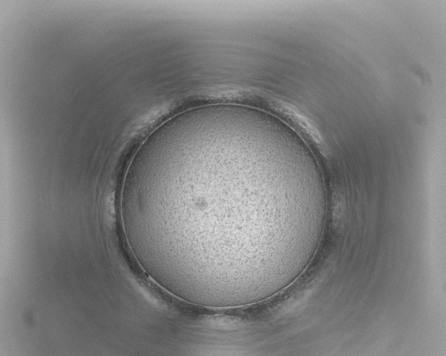 X0000116790633200912241202