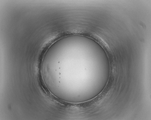 X0000116790635200912241203