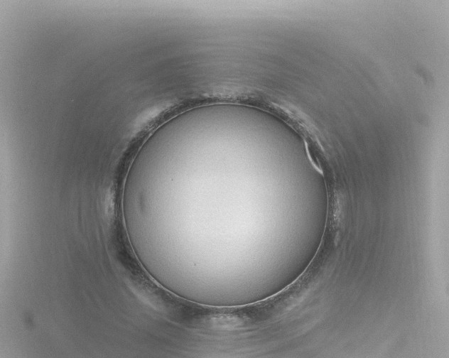 X0000116790636200912241203