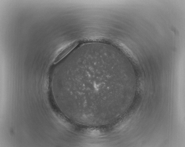 X0000116790640200912241203