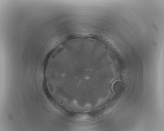 X0000116790642200912241203